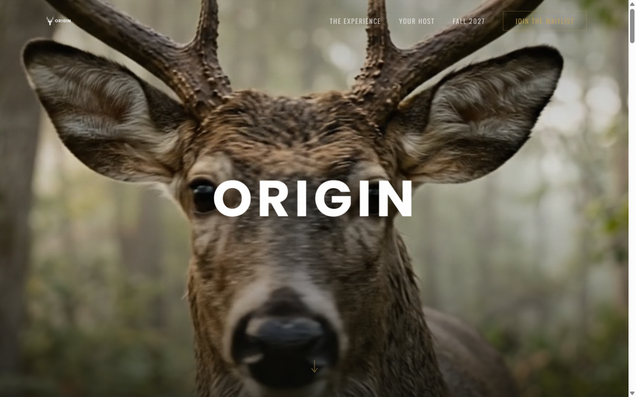 Origin website